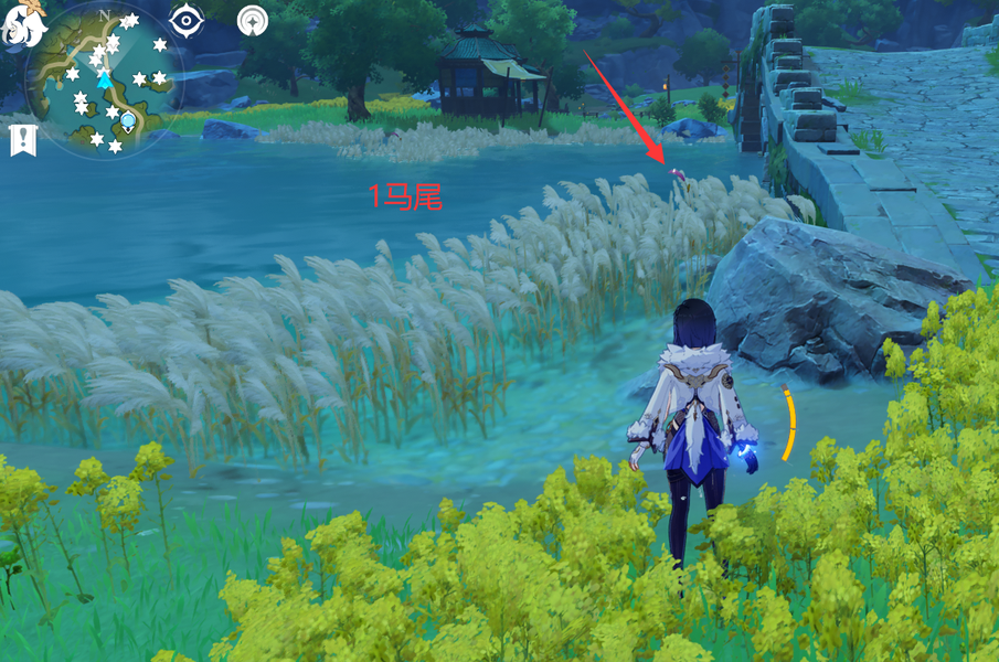 原神荻花洲的马尾有什么用