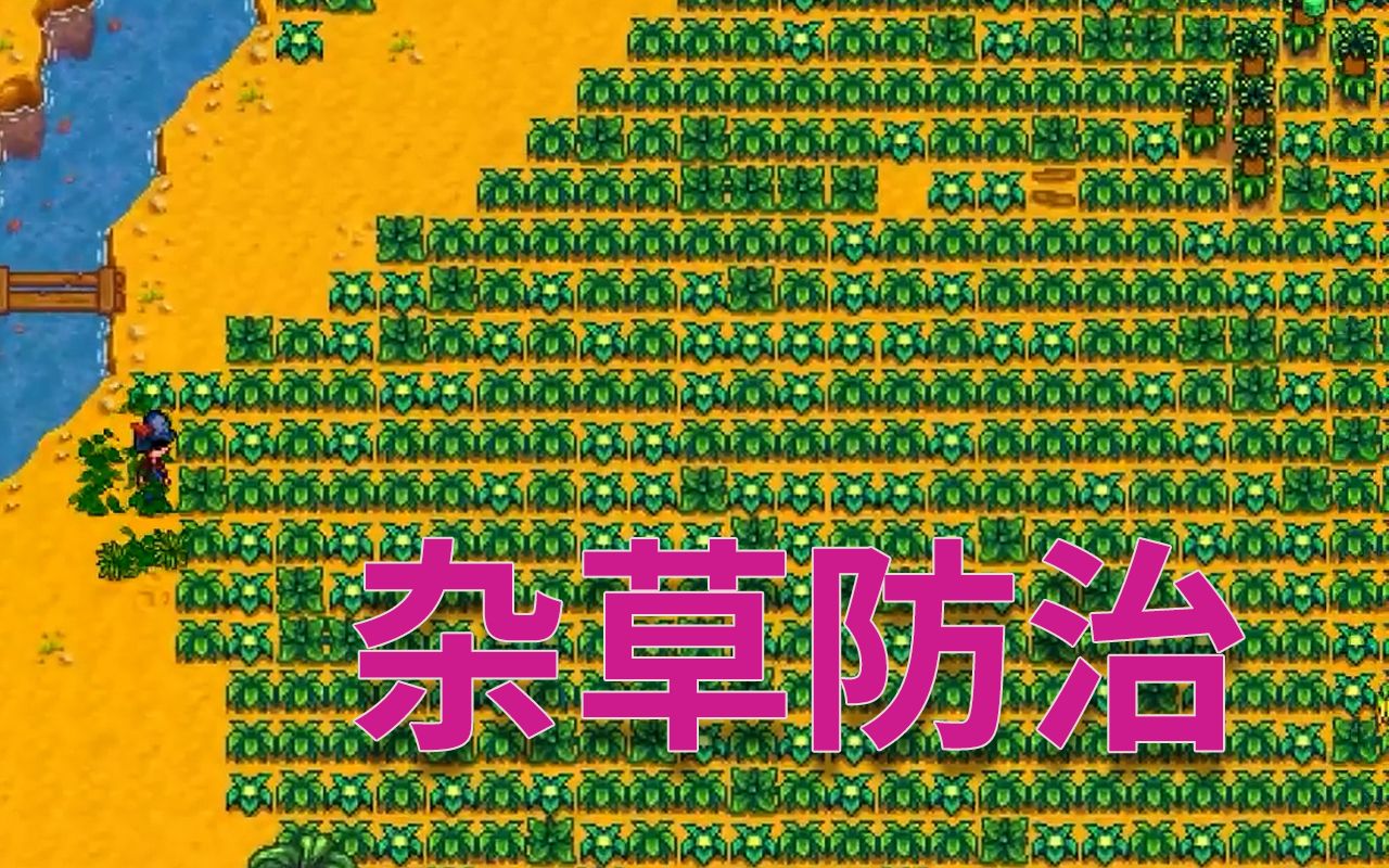 星露谷物语杂草有哪些特点