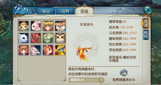 诛仙手游中鸟打什么技能 诛仙手游中鸟打什么技能