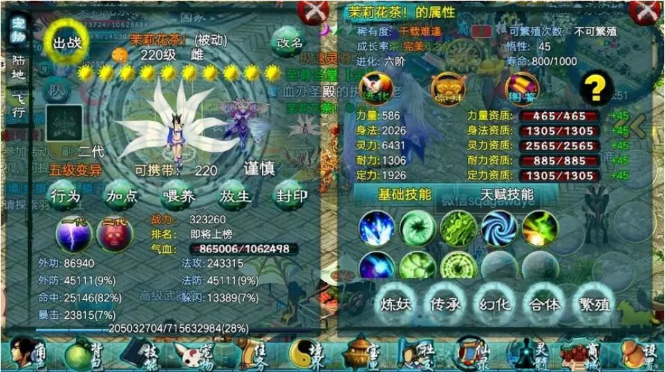 忘仙宠物装备哪里有 忘仙宠物装备哪里有