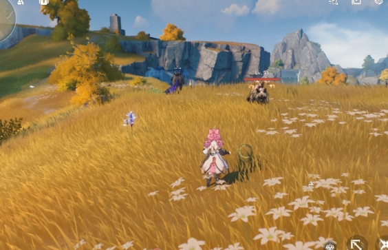 鸣潮龙荧石怎么速刷