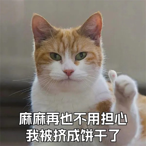 【劲爆官宣】 CJ Arena官方主线活动全面升级2.0！2025 ChinaJoy × 支付宝蓝花火战略合作启动！