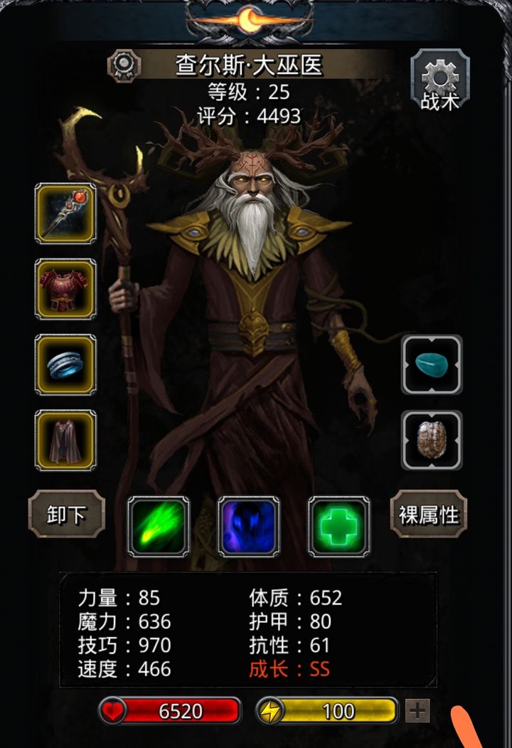 地下城堡2巫医法师转什么职业好