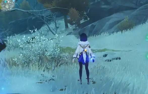 原神圣遗物狗粮哪里多