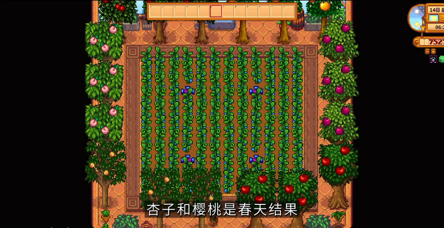 星露谷物语种什么果树最好