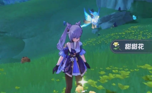 原神花蜜哪里多