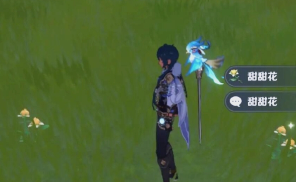 原神花蜜哪里多