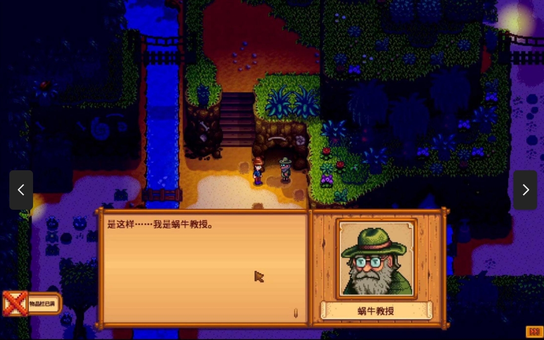 星露谷物语岛屿办事处有什么