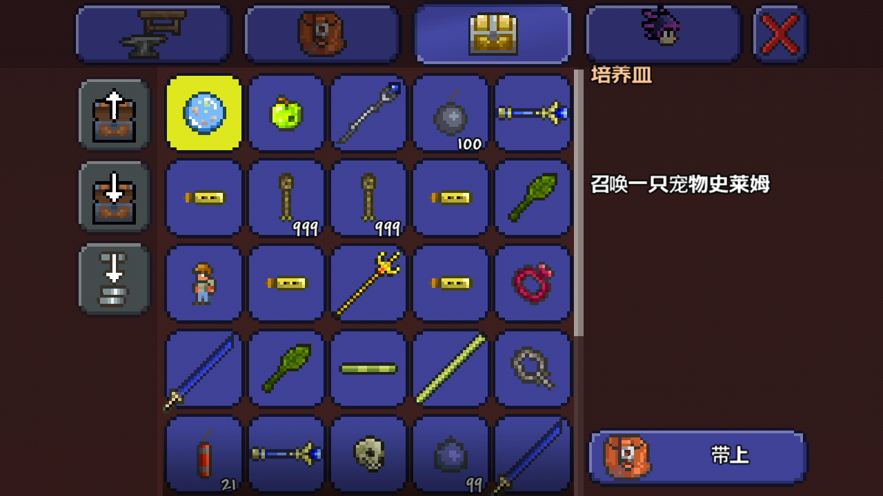 泰拉瑞亚有哪些照明宠物