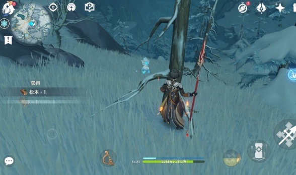 原神灵芝哪里多