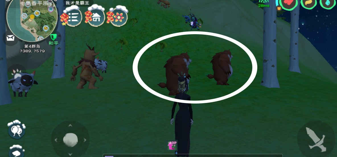 创造与魔法熊怎么驯服