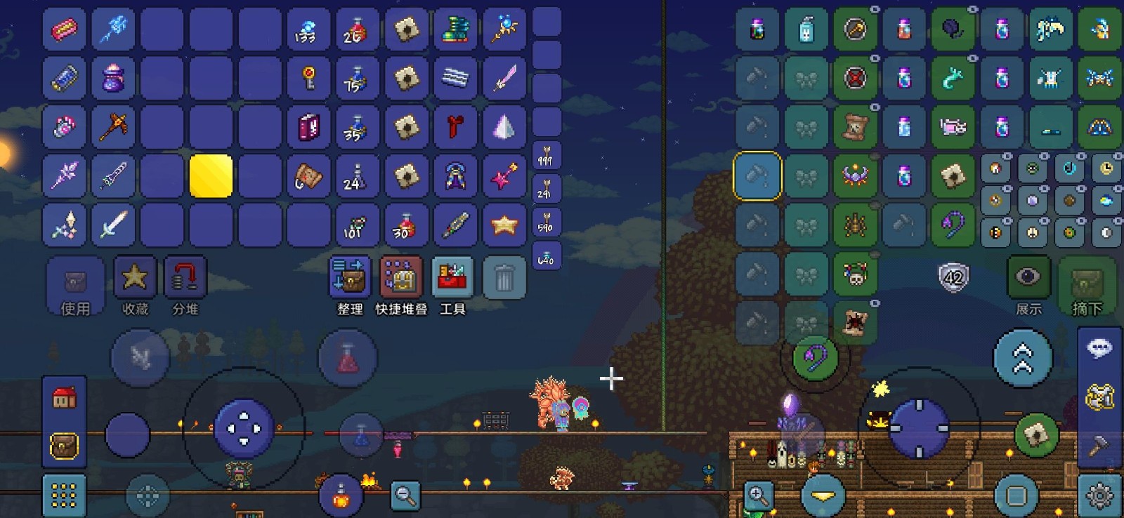 泰拉瑞亚有哪些饰品