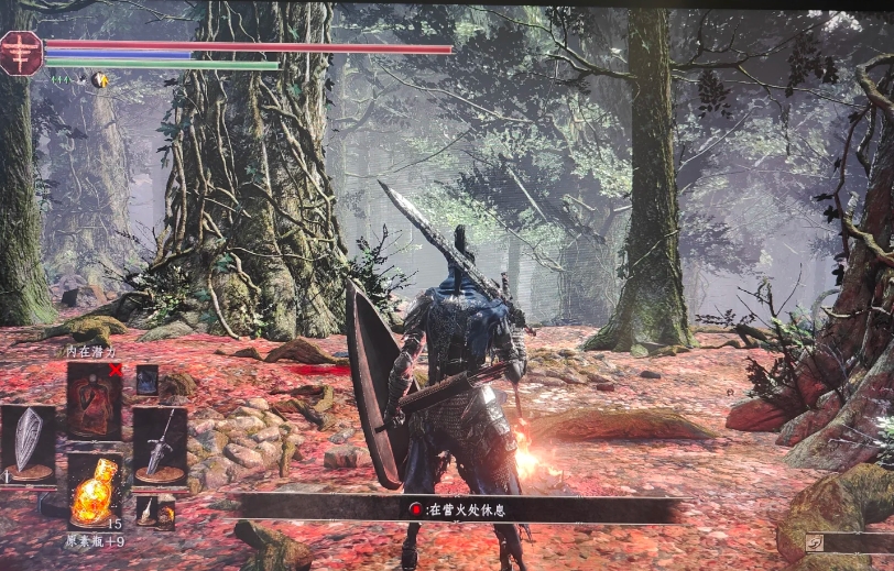 黑暗之魂3活祭品之路地图有什么