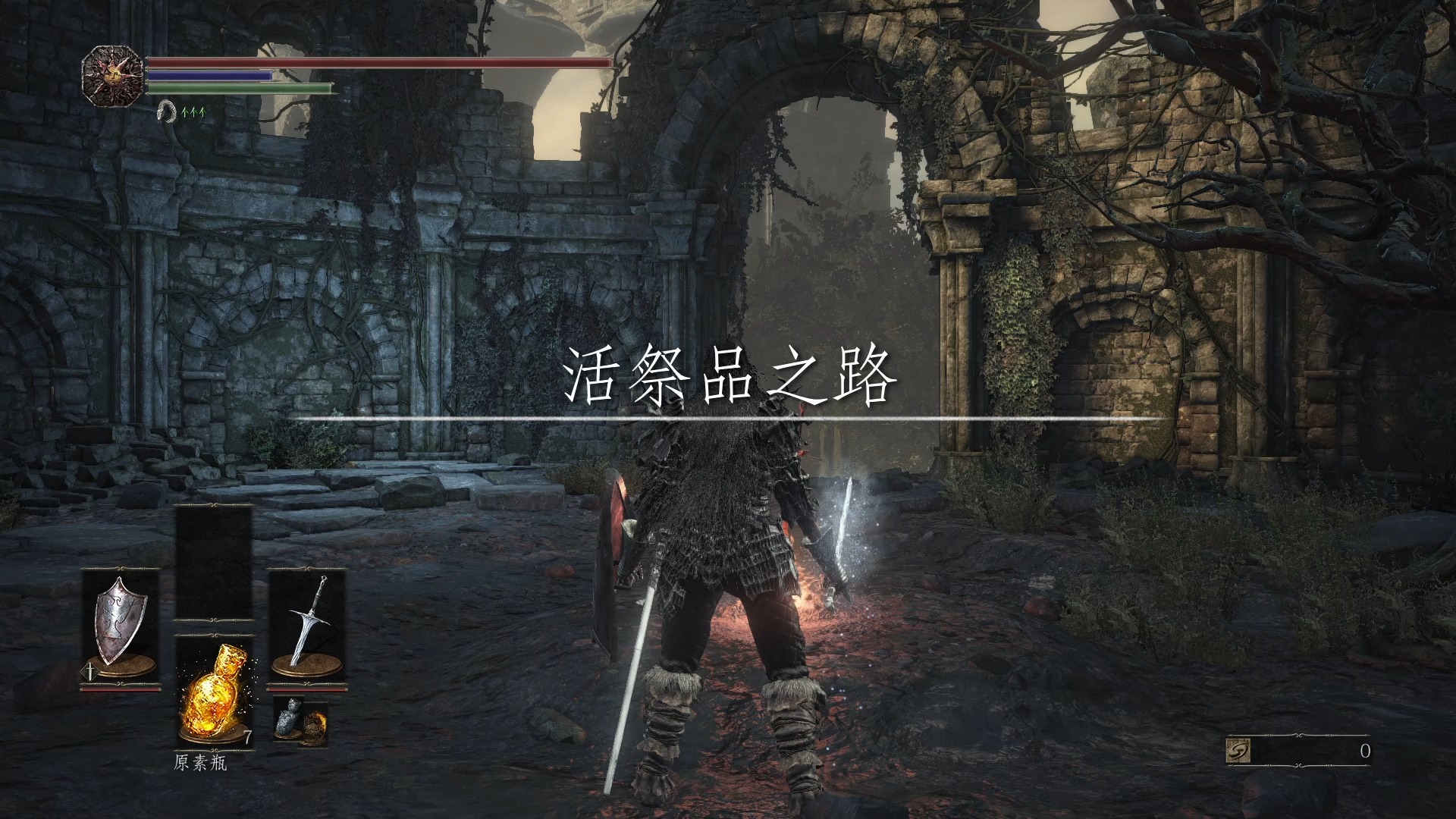 黑暗之魂3活祭品之路地图有什么