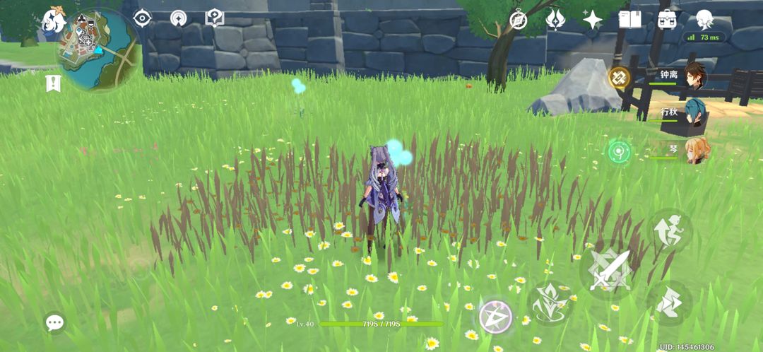 原神如何采摘蒲公英的种子 原神如何采摘蒲公英的种子