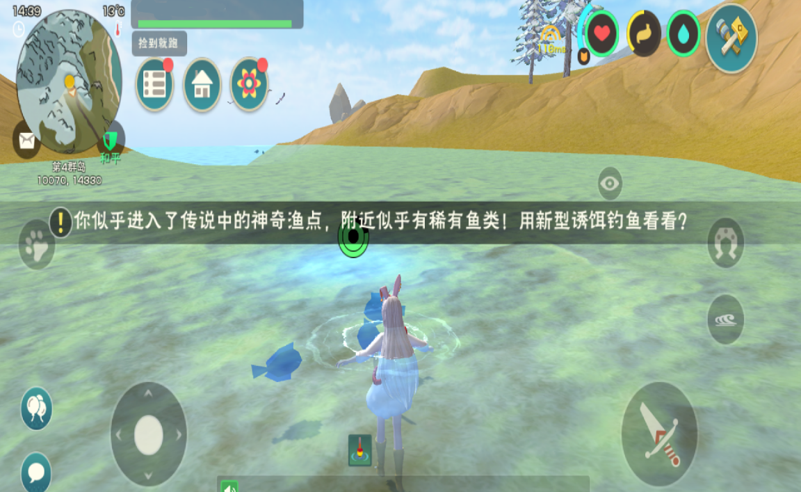 创造与魔法鲶鱼可以做什么