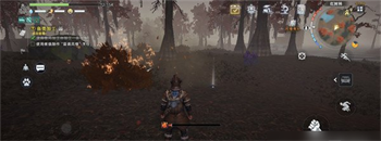 荒原曙光复活石怎么获得