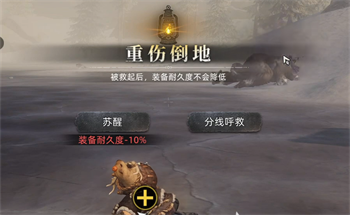 荒原曙光熊在哪里