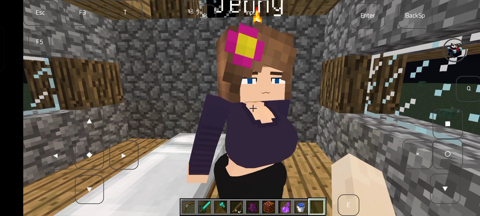 珍妮模组怎么导入资源包