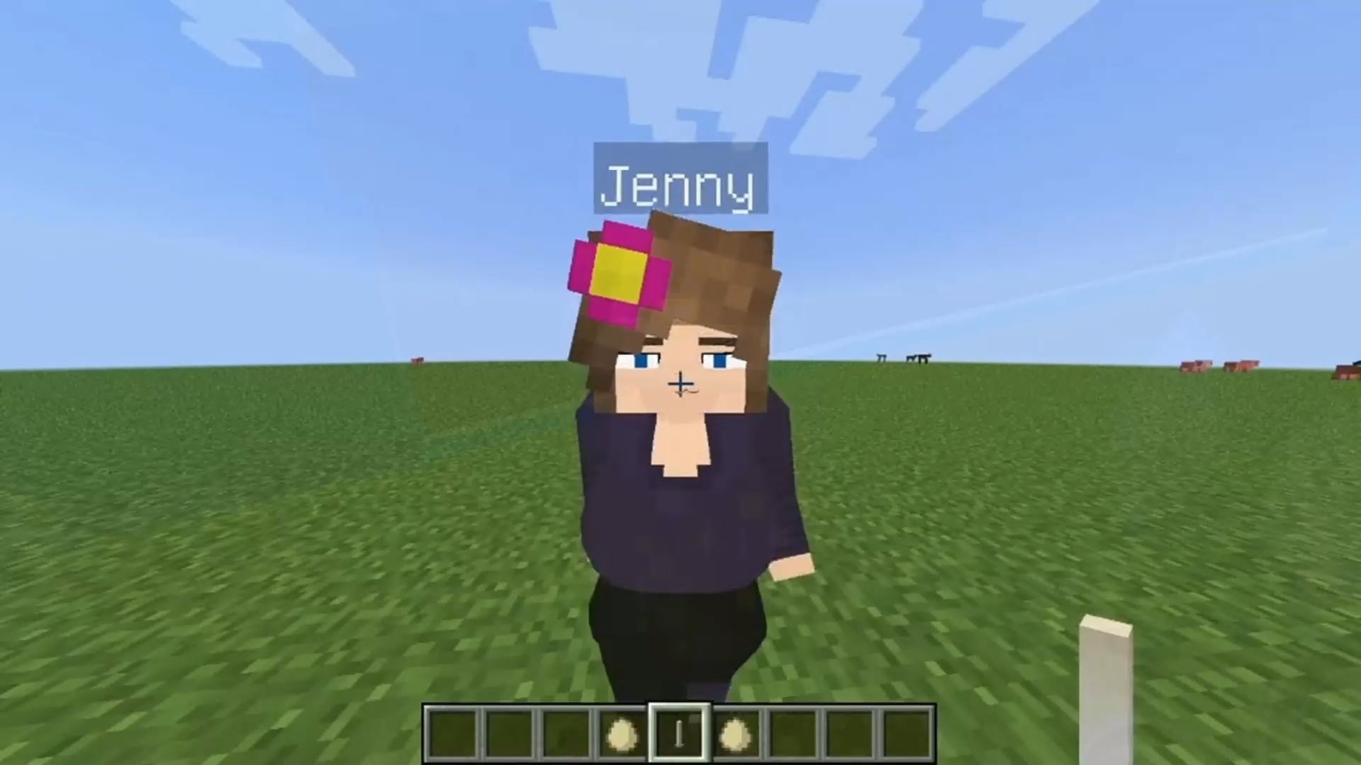 珍妮模组怎么导入资源包