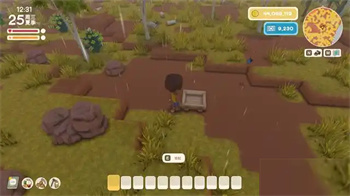 金垦小镇怎么养鸡