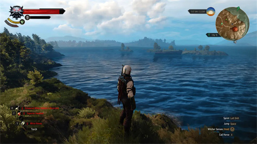 《巫师3》游泳系统险被砍 CDPR副总裁：有水为啥不能游？