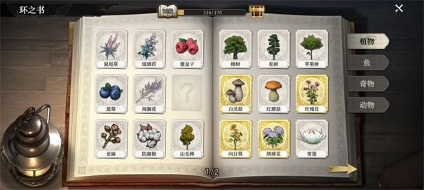 荒原曙光完美种植方法是什么 荒原曙光种植什么好一点