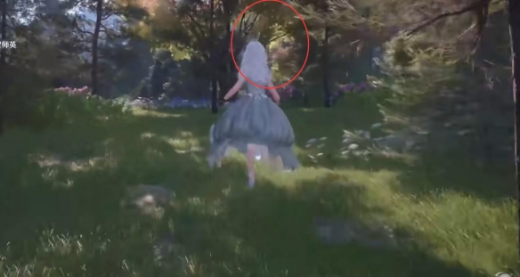 无限暖暖日光果在哪里找 无限暖暖日光果怎么获得