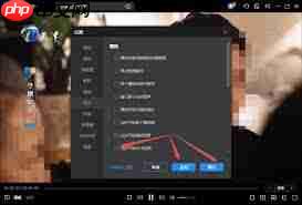 恒星播放器怎么设置显示指针
