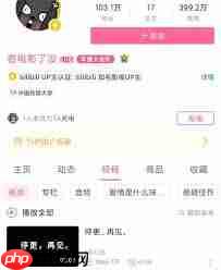 B站国产大片视频为何消失了