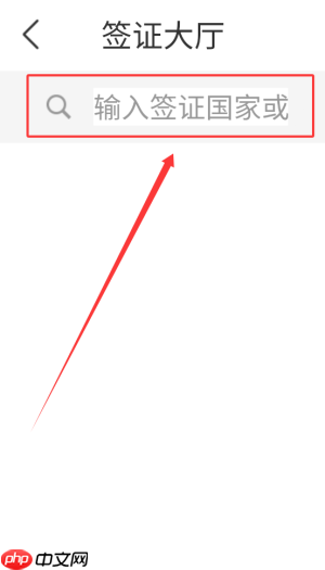 《中青旅遨游旅行》办理签证方法