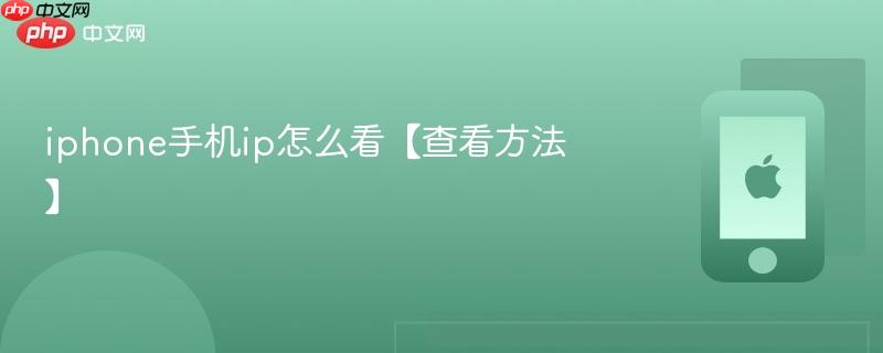 iphone手机ip怎么看【查看方法】
