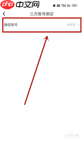 soul怎么绑定微信账号