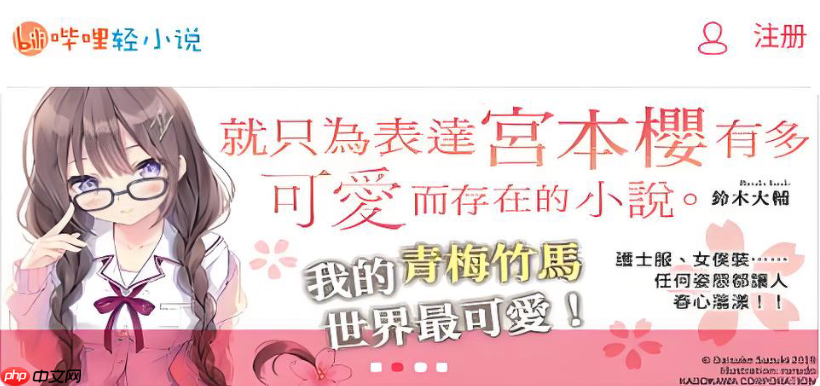 哔哩轻小说怎么样?一个适合新手作者的赚钱平台深度分析