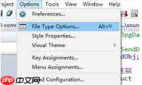 source insight怎么设置高亮
