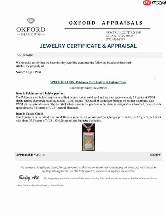 全球唯一PSA 10级最贵宝可梦卡拍卖中！Logan Paul承诺加码钻石项鍊