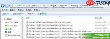 射手影音如何开启自动下载字幕