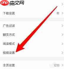 如何关闭alook浏览器自动播放