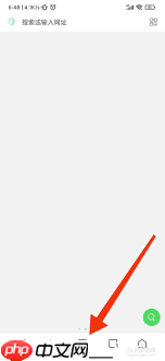 如何关闭alook浏览器自动播放