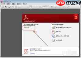 如何在Adobe Reader XI中添加批注