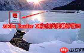 如何关闭Adobe Reader XI悬浮窗口
