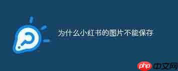 发小红书如何防止被存图
