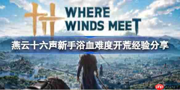 燕云十六声新手浴血难度怎么玩-燕云十六声新手浴血难度开荒经验分享