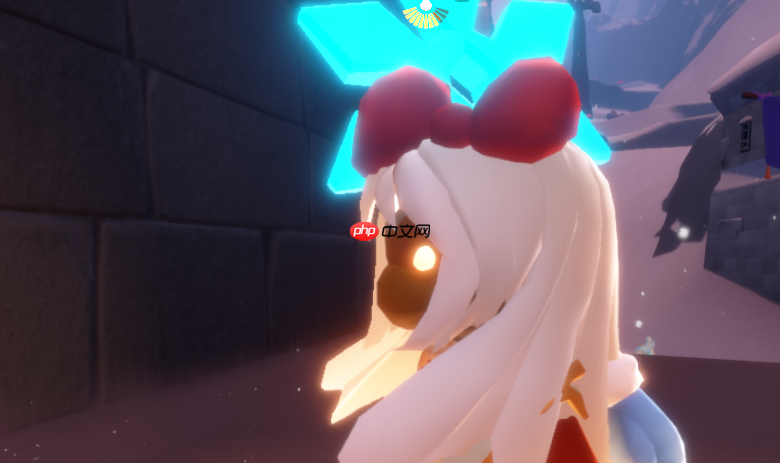 光遇宴会节代币在哪里12.24-光遇雪花代币收集攻略2025