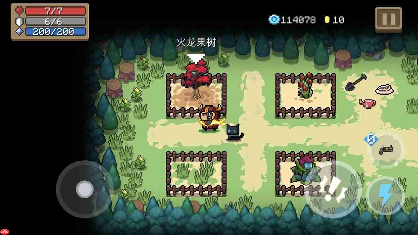 火盾神器火龙果树:火山征途的平民救星