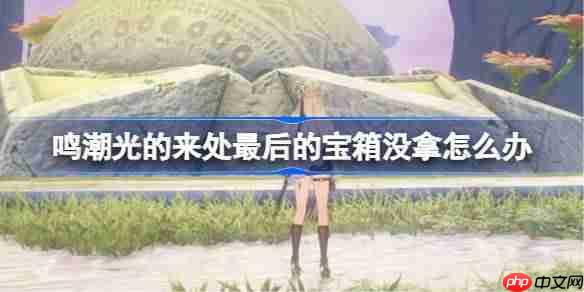 鸣潮光的来处最后的宝箱没拿怎么办-鸣潮光的来处最后宝箱没拿解决办法