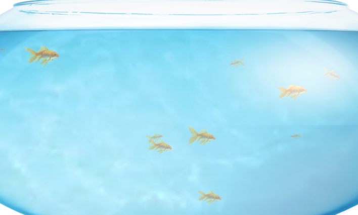 fishbowl性能评测入口 fishbowl浏览器鱼缸测试 - 98游戏