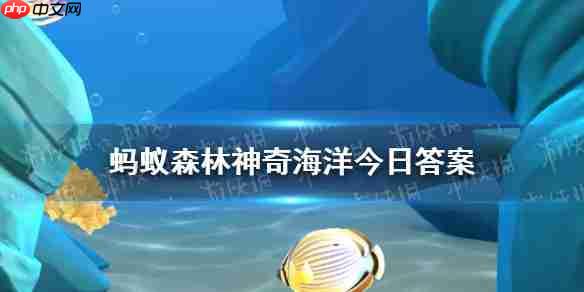 海洋生物的幼儿园 神奇海洋1月13日答案最新