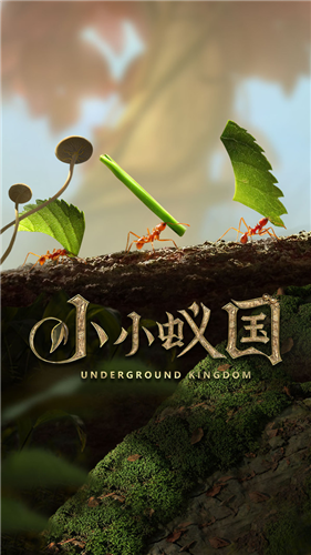小小蚁国1