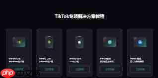 TikTok加载缓慢的原因是什么